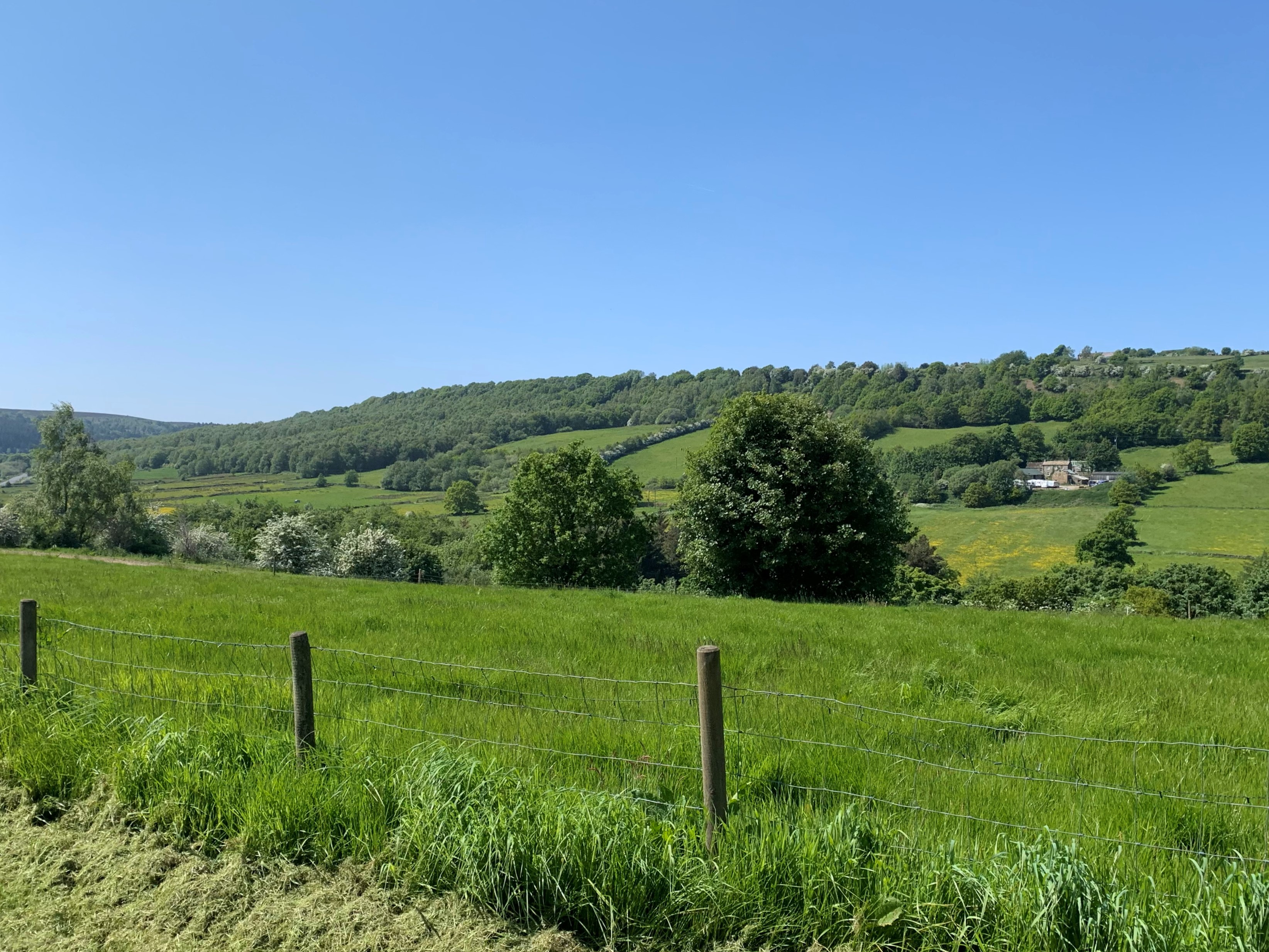 view from the bottom side of the camping field